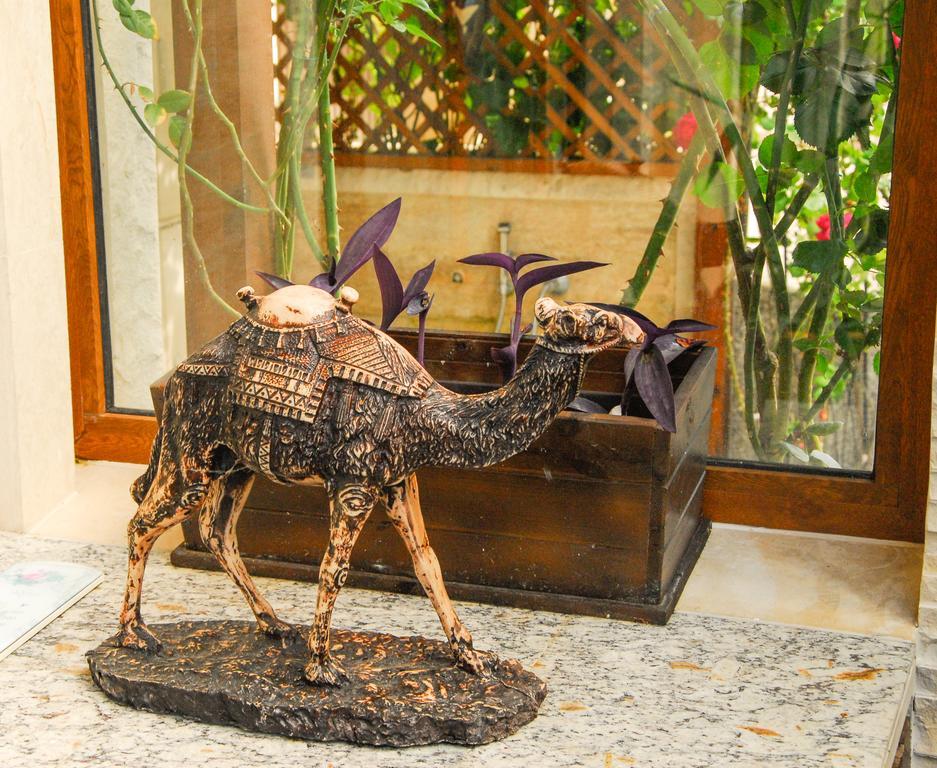 La Casa Primorskoアパートメント エクステリア 写真